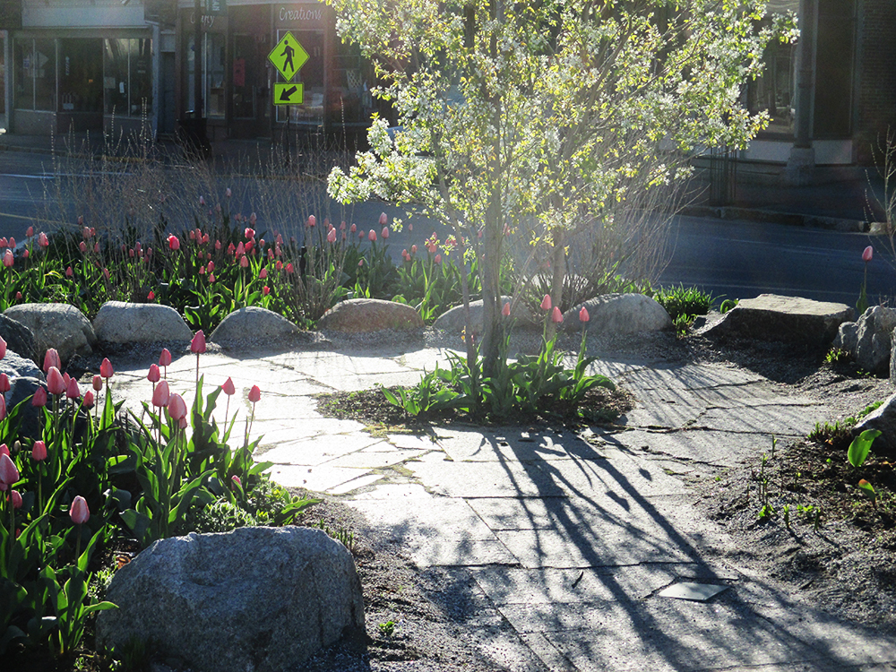 Public Gardens Main Street Skowhegan