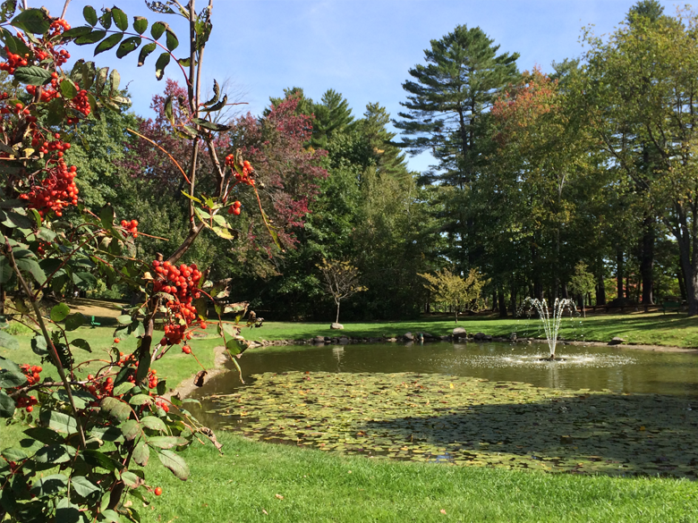 Coburn Park, Skowhegan, Maine